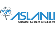 Asalanli Logo